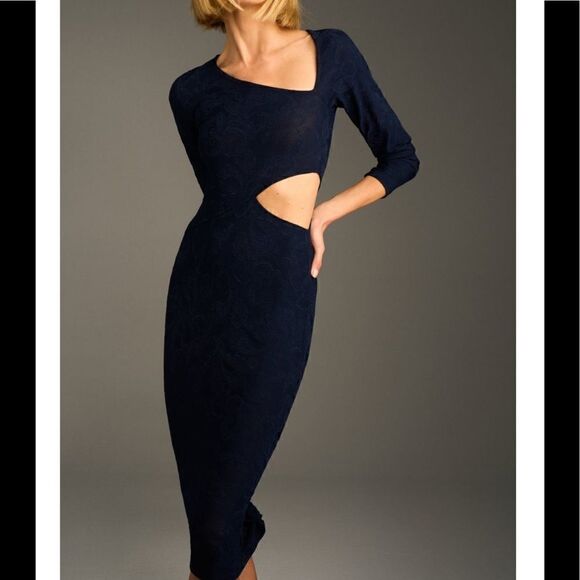 NWT Zara Cut Out Jacquard Dress - Picture 1 of 12
